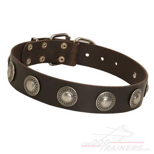 leder halsband
kreisen schweiz