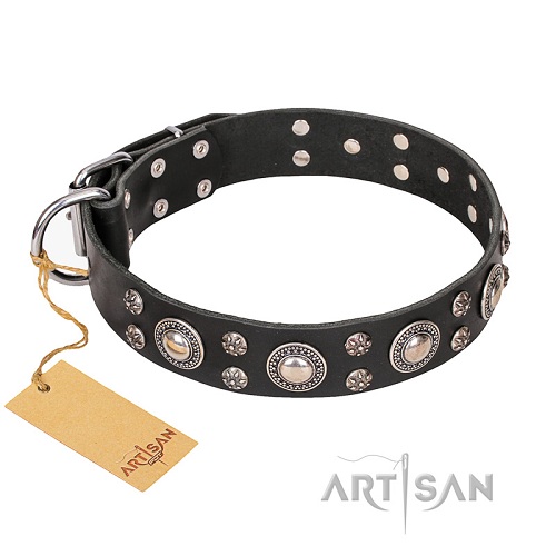 Hundehalsband mit verzierung artisan