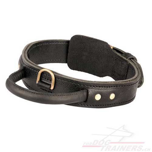 hunde halsband leder griff Schweiz