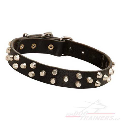 Hunde
Halsband Leder mit pyramiden