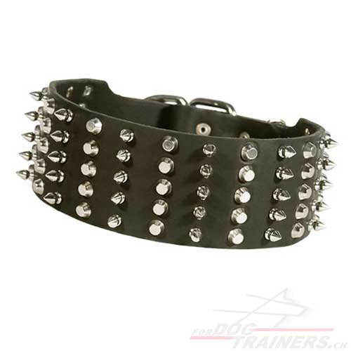 leder halsband spikes nieten schweiz