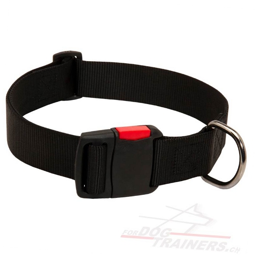Nylonhalsband fr Ihren Hund kaufen