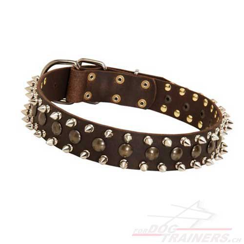 Schferhund Nietenhalsband Leder mit Spikes