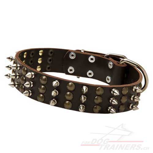 Hunde Halsband Leder mit Nieten und Spikes
