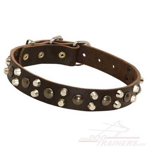 leder hunde halsband
kaufen