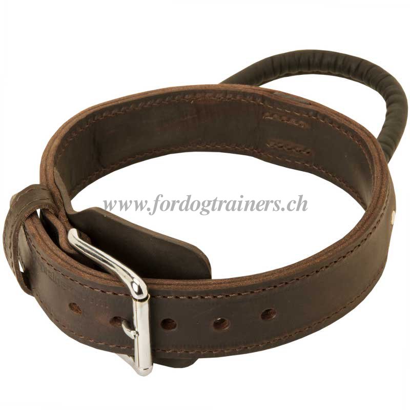 Hundehalsbands Dog collar Collier de chien