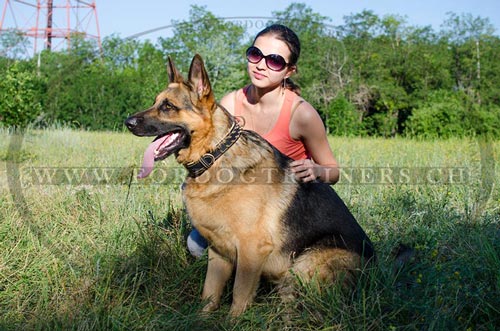 Handgefertigtes
Leder Halsband Nappapolster fr Schferhund