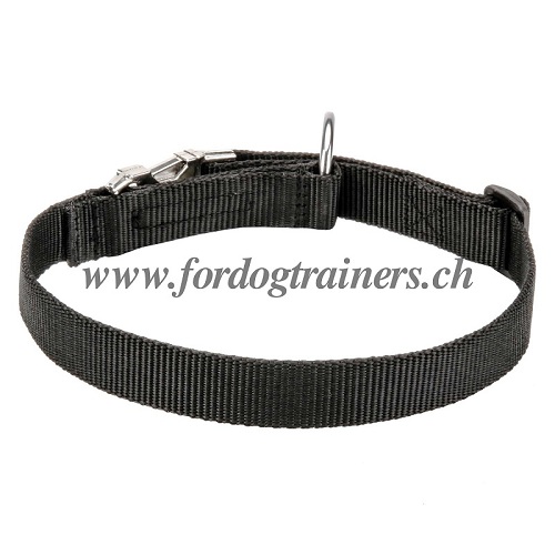 nylonhalsband schnellverschlu kaufen