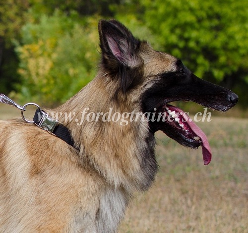 nylon halsband tervueren handgemacht