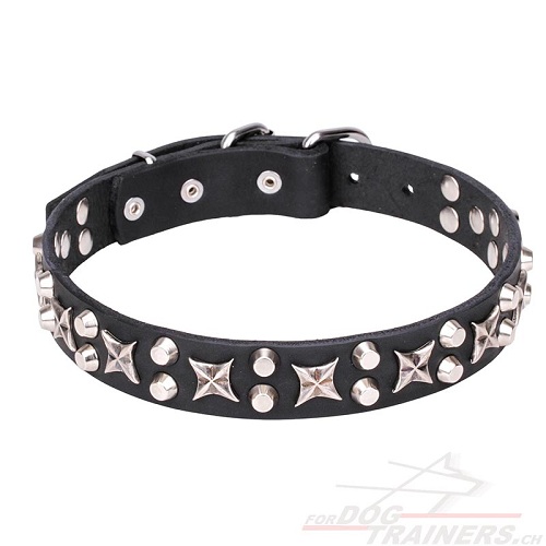 lederhalsband hund mit Sternen und kegeln
schweiz