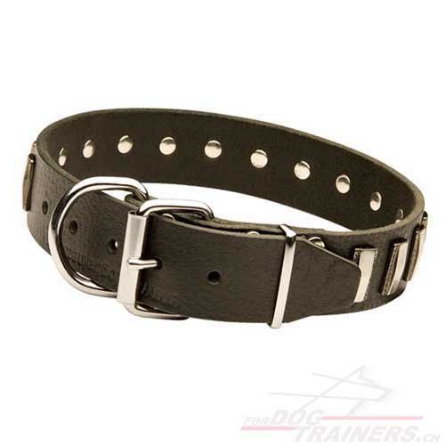 Leder Halsband mit vernickelten Platten fr
Schferhund