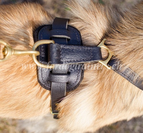 trainingsgeschirr leder akita 