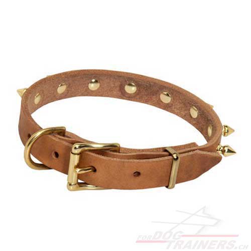 luxus halsband franzsische bulldogge
schweiz kaufen
