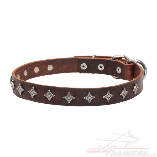 sterne halsband leder rundgenht schweiz