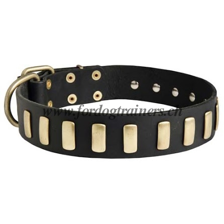  Leder Hundehalsband fr Schferhund aus Leder
mit Platten
