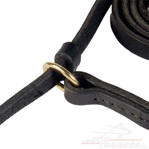 leder hundeleine halsband salzburg kaufen