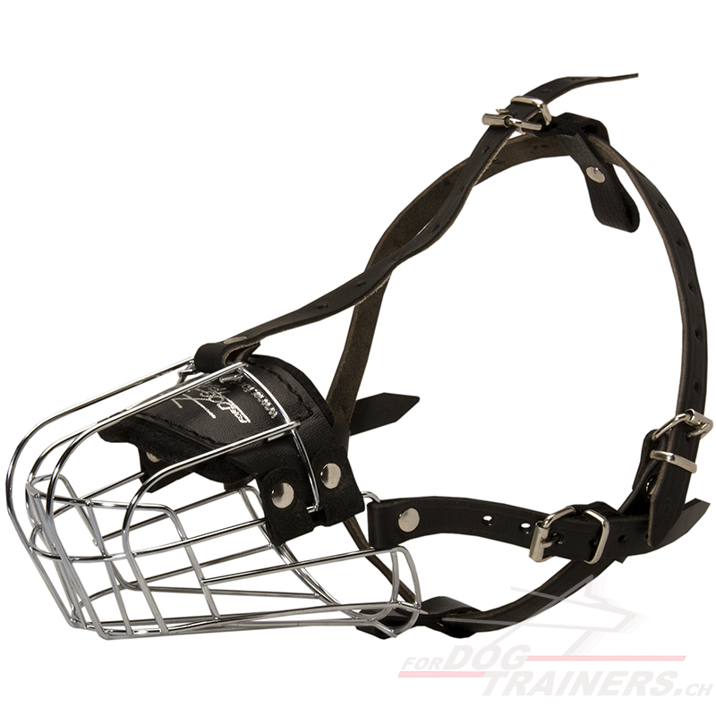 Muzzle for springer spaniel shop