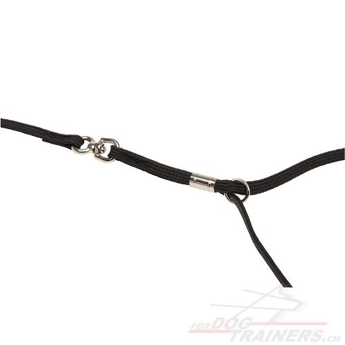 hundeleine halsband nylon
hundeausstellung qualitt