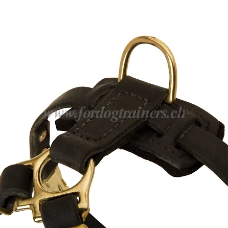 Leder Hundegeschirr fr kleine hunderassen 