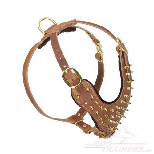 ledergeschirre fr hunde messing spikes schweiz