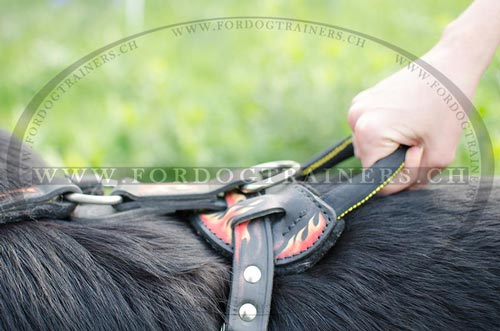 Solides Leder Hundegeschirr fr Schferhund