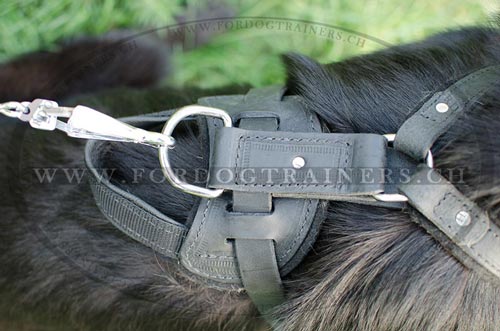 Klassisches Brustgeschirr fr Schferhund bestellen