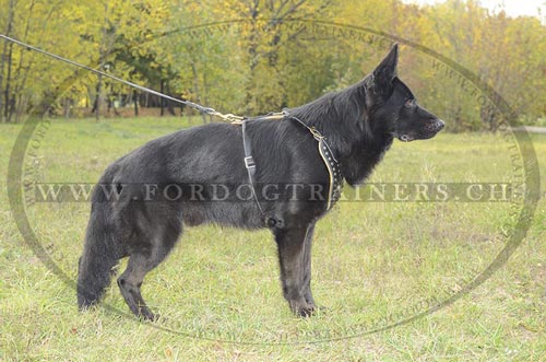 Schferhund Geschirr bestellen Hundeauslauf