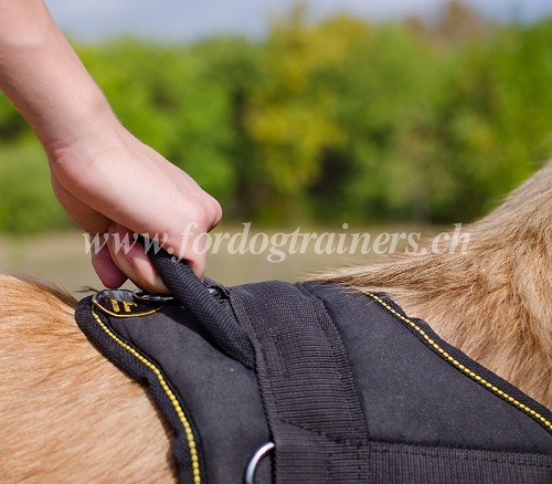 gepolstertes hundegeschirr belgiscer schferhund