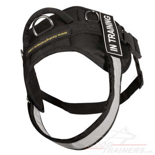 hunde geschirr nylon dobermann Schweiz