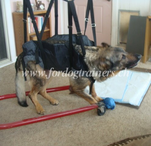 geschirr nylon rettungshunde Schferhund