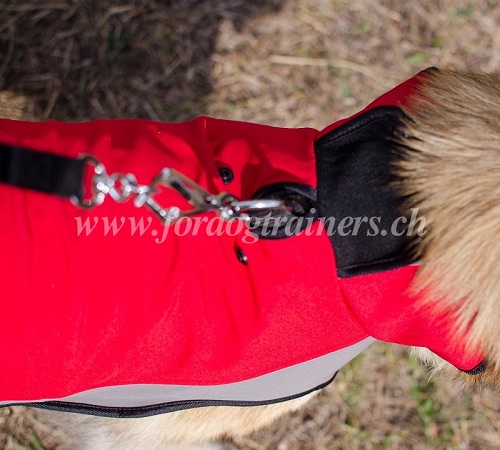 hundemantel kaufen schweiz
