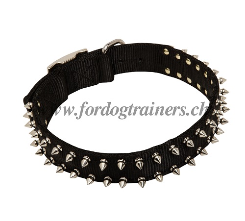 halsband nylon spikes basel