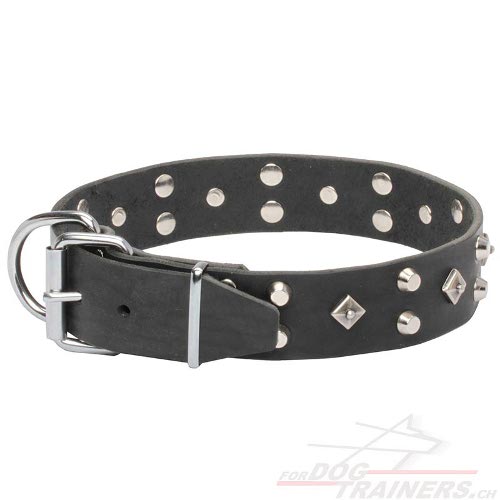 hundehalsband leder exklusiv dekoration
