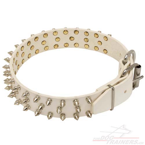  leder halsband
wei spikes schweiz