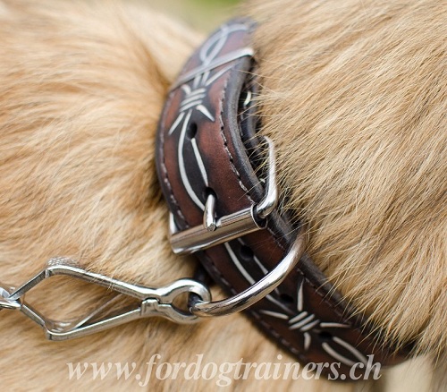 Handbemaltes Leder Halsband fr Tervueren
kaufen