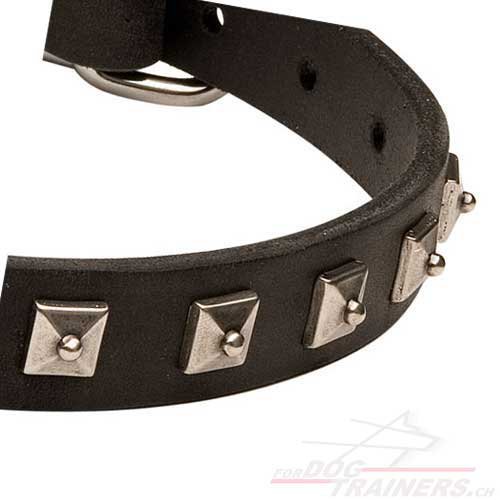 Leather Dog Collar studs Switzerland