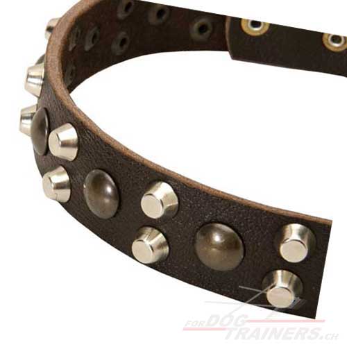 hundehalsband eng
kaufen