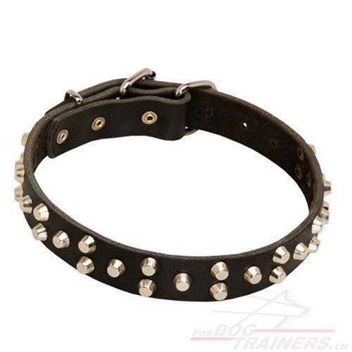 nietenhalsband leder
kaufen