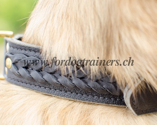 Breites Halsband fr Tervueren geflochten