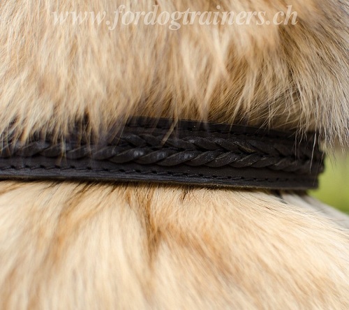 halsband leder tervueren lzern