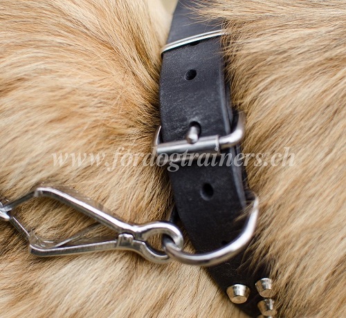 Handgemachtes Leder Halsband Tervueren