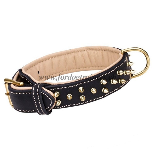 Halsband leder Nappa messing spikes