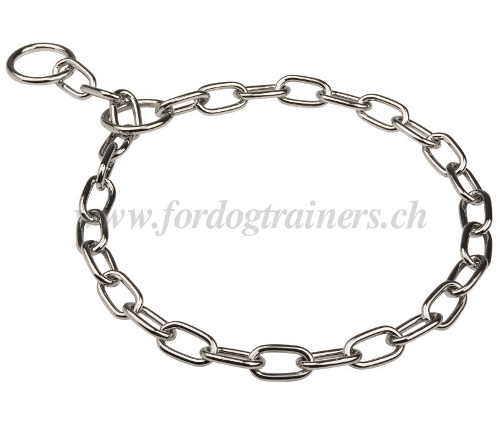 Hundehalsband mit Groen Kettengliedern schweiz