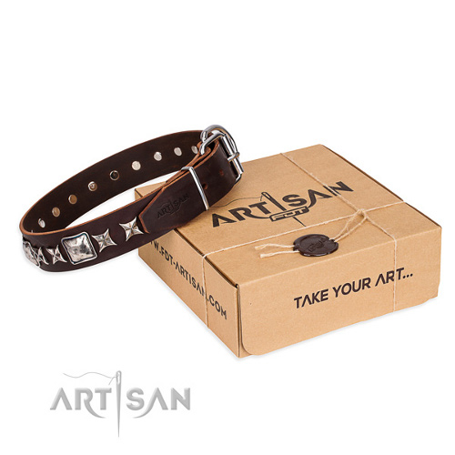 
Hundehalsband braun fdt artisan
