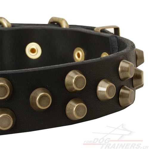 halsband hund luxus Hundeshop Schweiz
