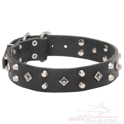 hundehalsband leder edel bestellen
