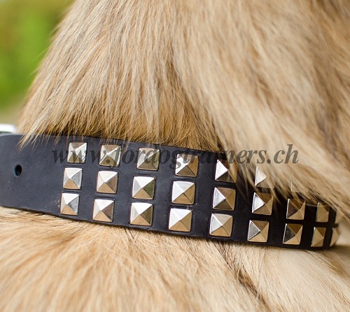 halsband leder belgischer schferhund basel