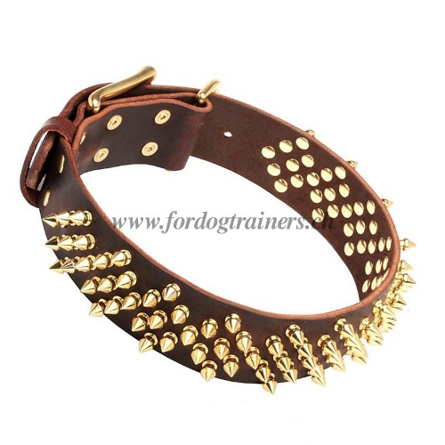 leder
halsband messing spikes schweiz