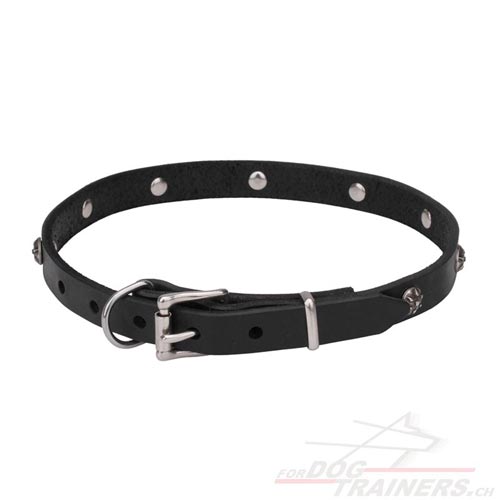 halsband aus leder dnn gravierte nieten