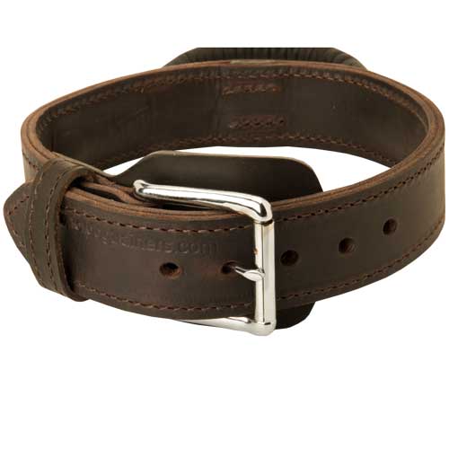 hundehalsband leder griff Schweiz